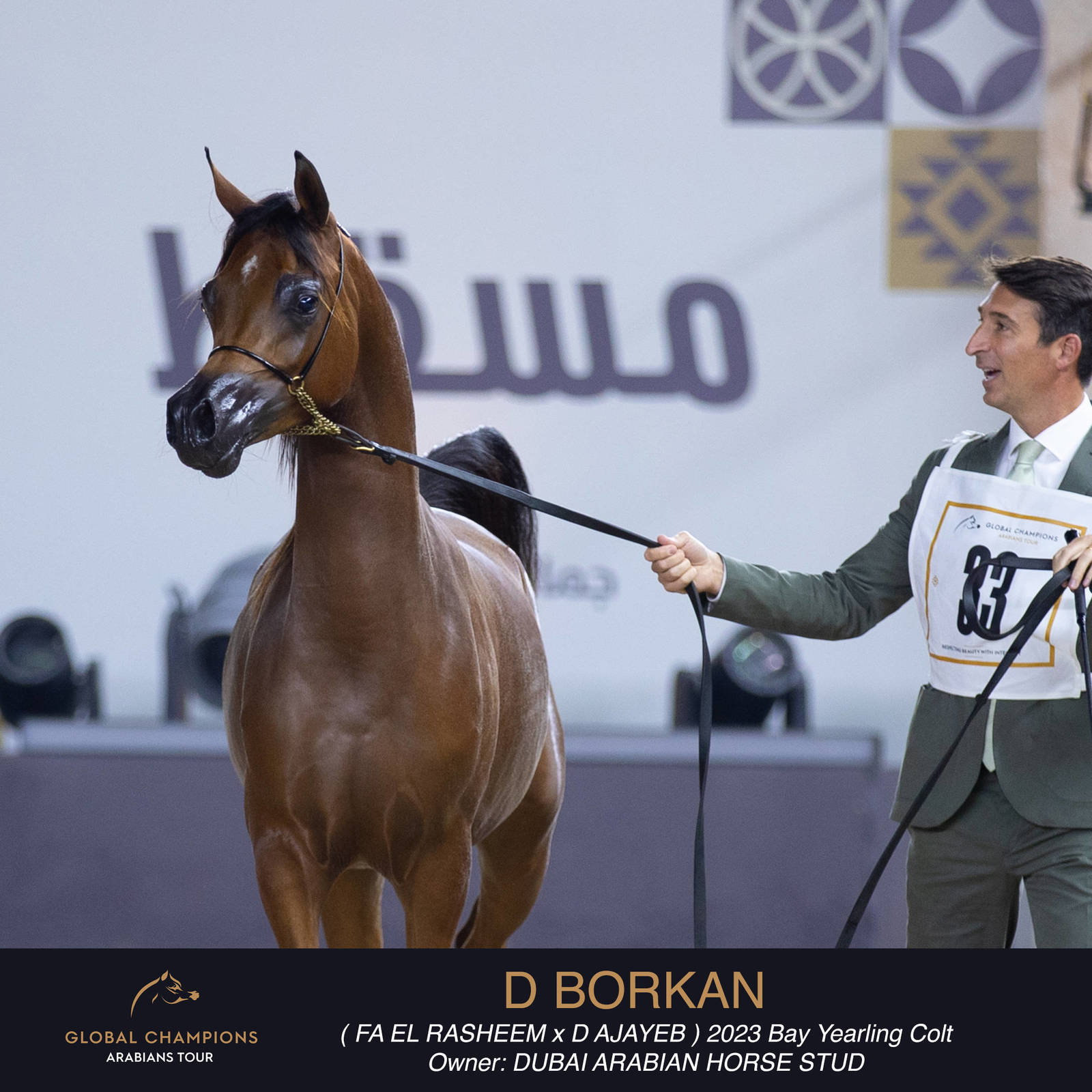 Day One of the Muscat stage of the Global Champions Arabians Tour
