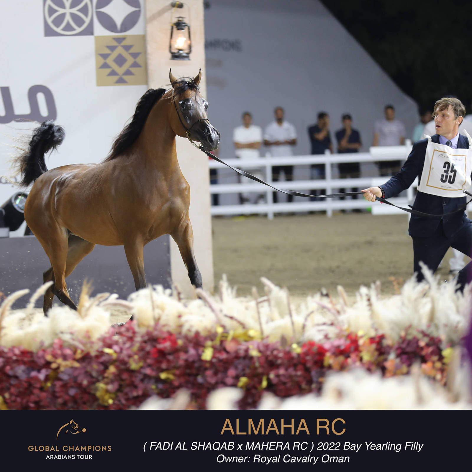 Day One of the Muscat stage of the Global Champions Arabians Tour