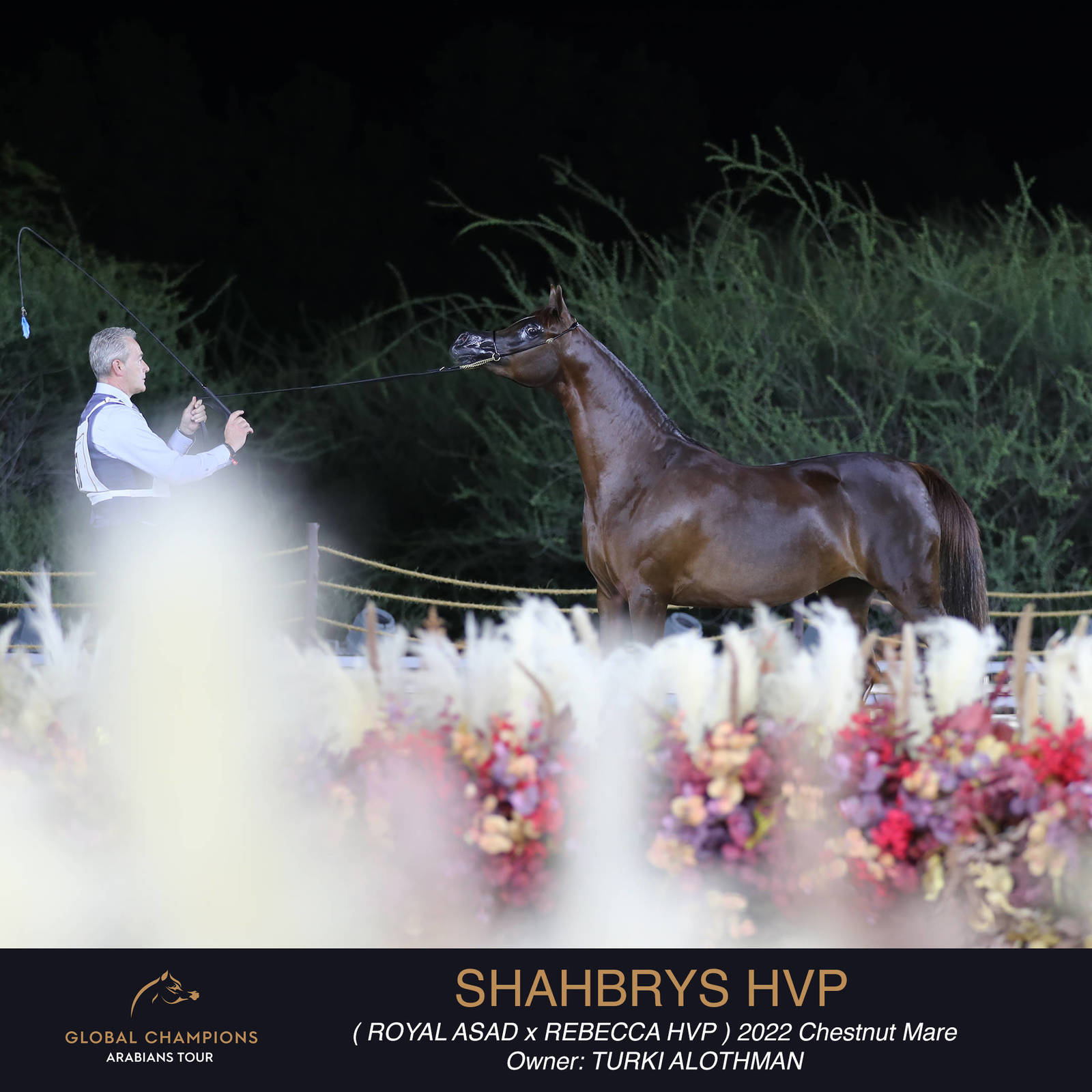 Day One of the Muscat stage of the Global Champions Arabians Tour