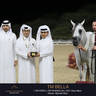 Day One of the Muscat stage of the Global Champions Arabians Tour