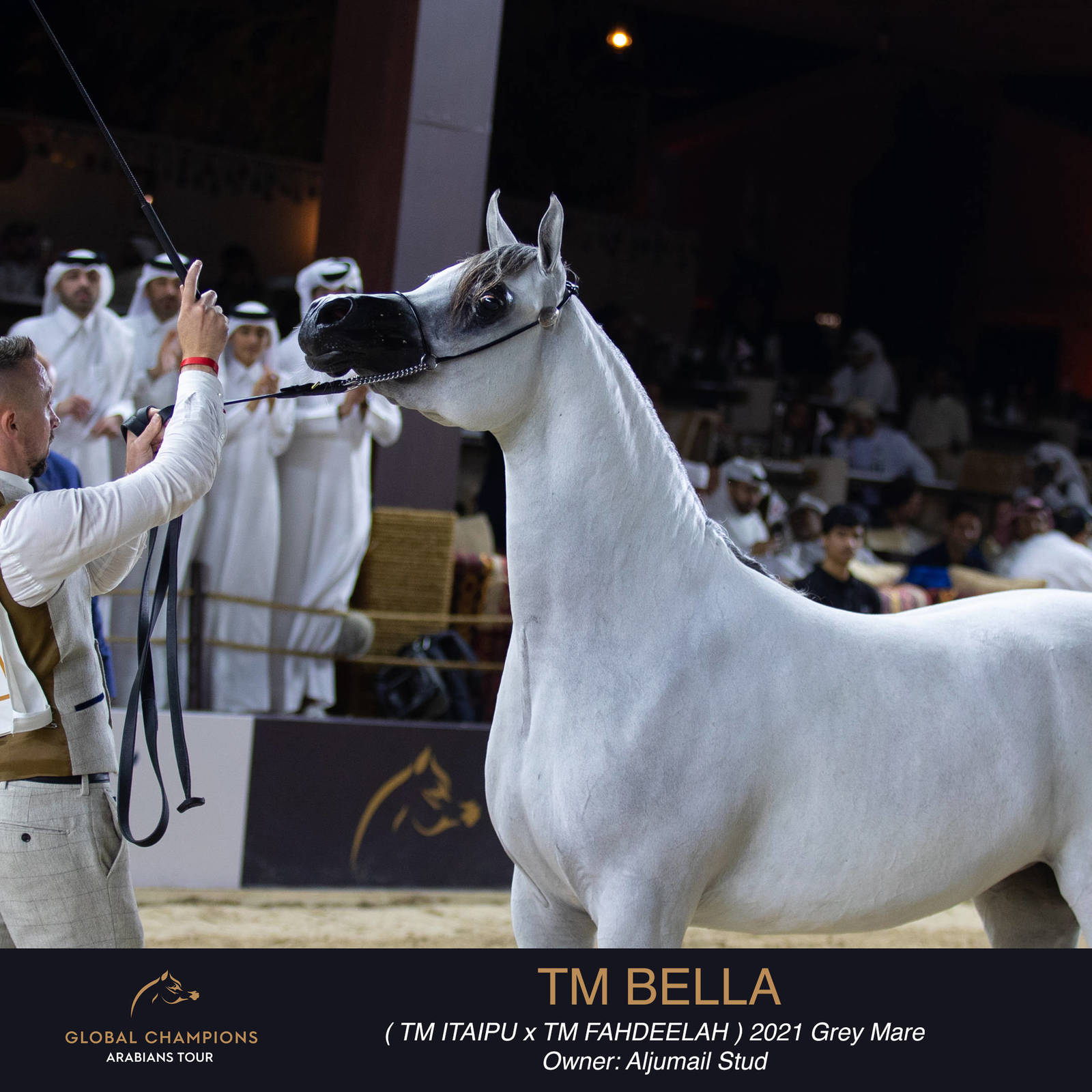 Day One of the Muscat stage of the Global Champions Arabians Tour