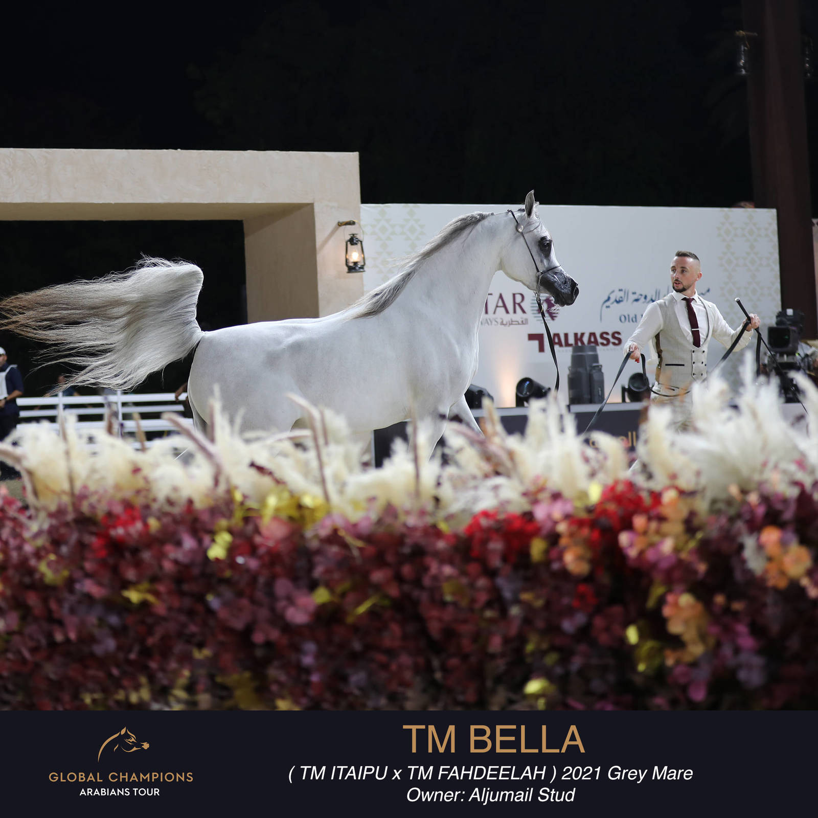 Day One of the Muscat stage of the Global Champions Arabians Tour