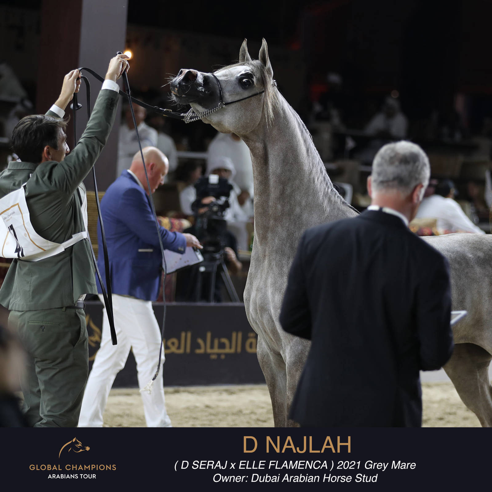 Day One of the Muscat stage of the Global Champions Arabians Tour