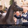DAY TWO OF THE MUSCAT STAGE OF THE GLOBAL CHAMPIONS ARABIANS TOUR