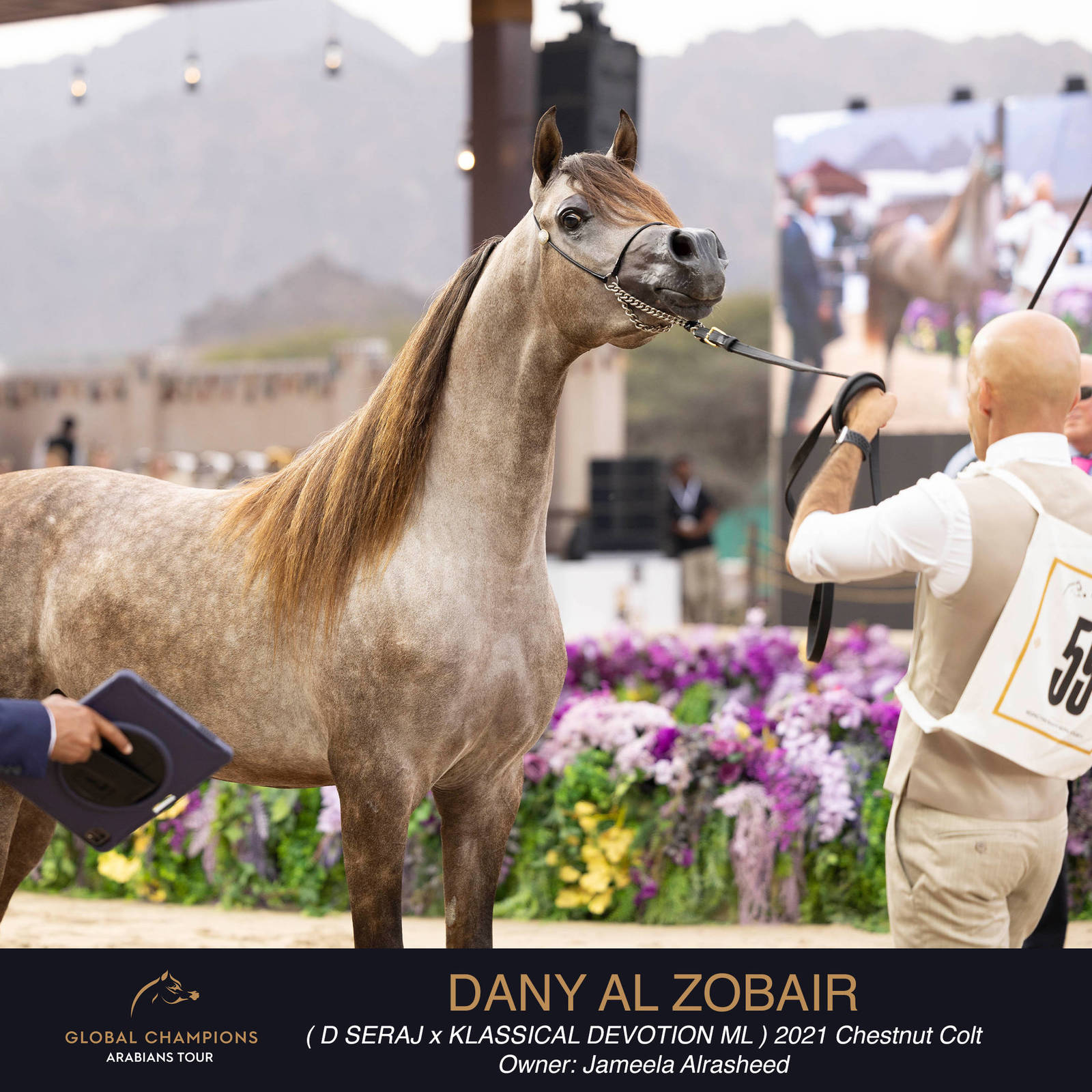 DAY TWO OF THE MUSCAT STAGE OF THE GLOBAL CHAMPIONS ARABIANS TOUR