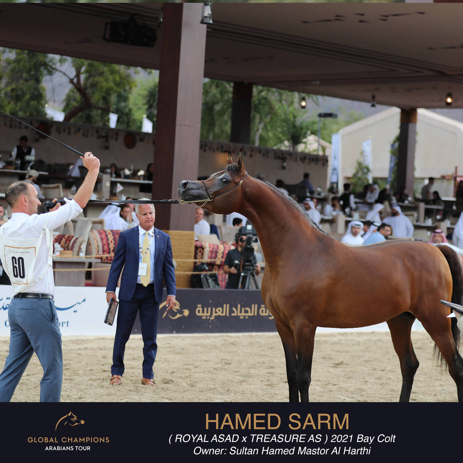 DAY TWO OF THE MUSCAT STAGE OF THE GLOBAL CHAMPIONS ARABIANS TOUR