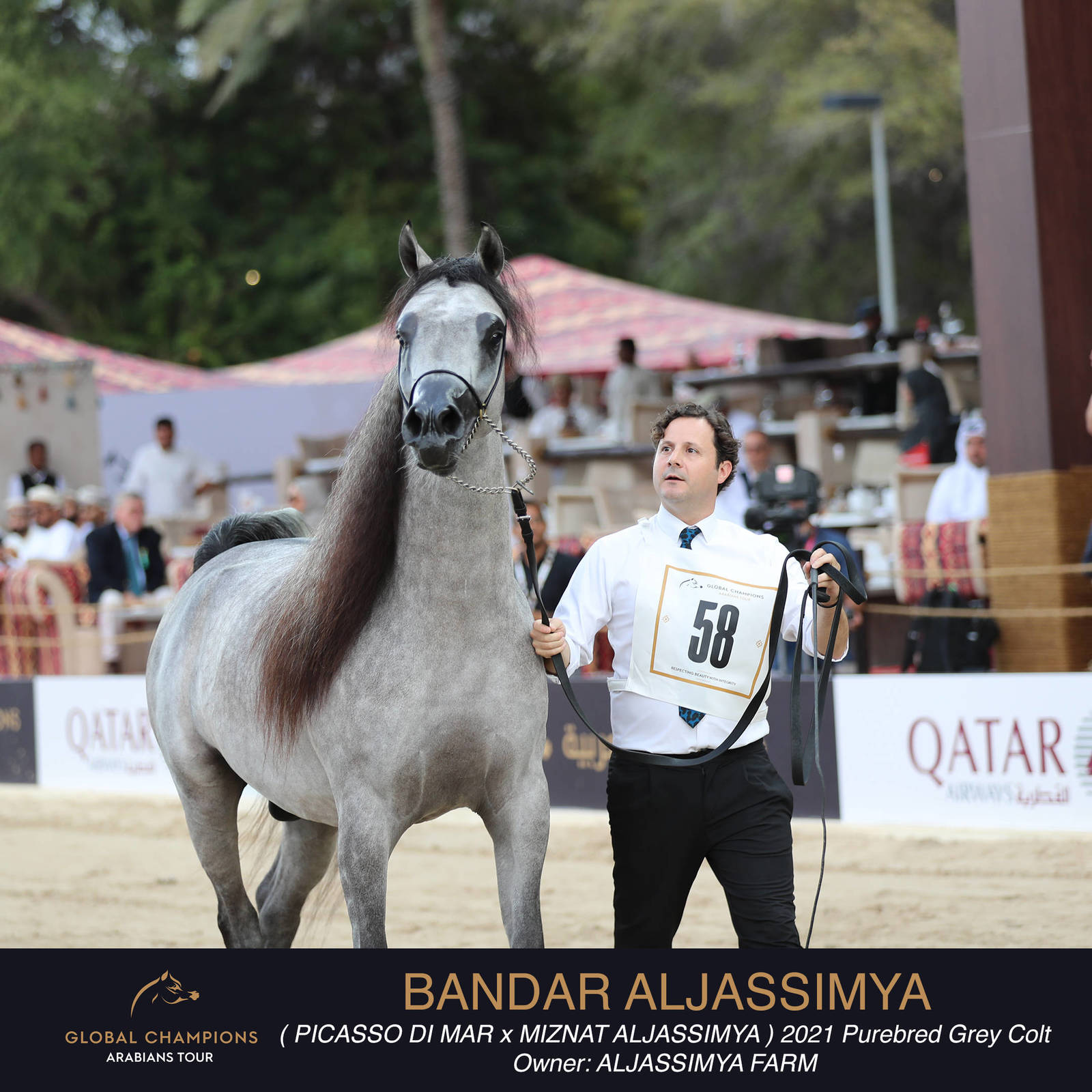 DAY TWO OF THE MUSCAT STAGE OF THE GLOBAL CHAMPIONS ARABIANS TOUR