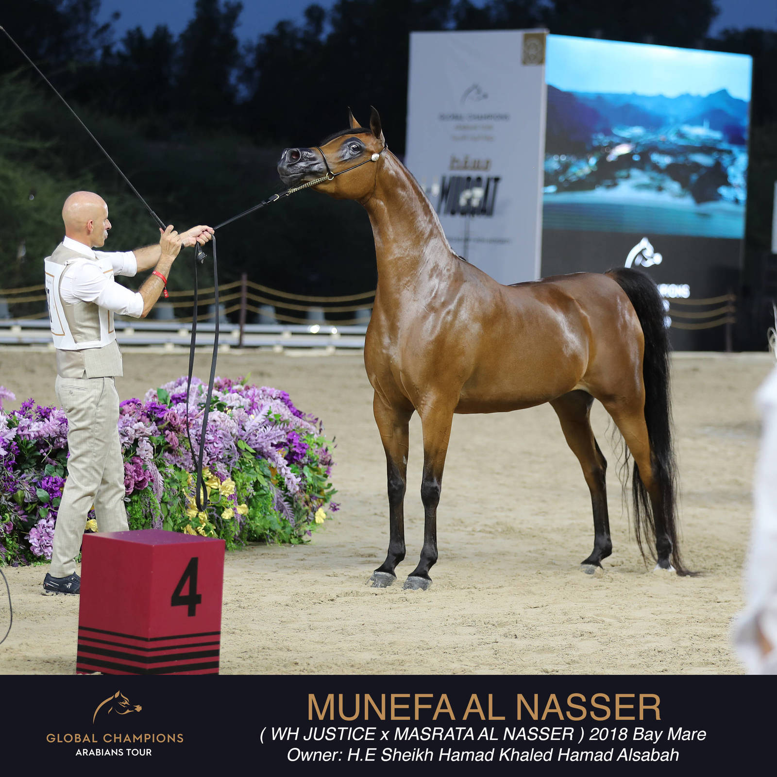DAY TWO OF THE MUSCAT STAGE OF THE GLOBAL CHAMPIONS ARABIANS TOUR