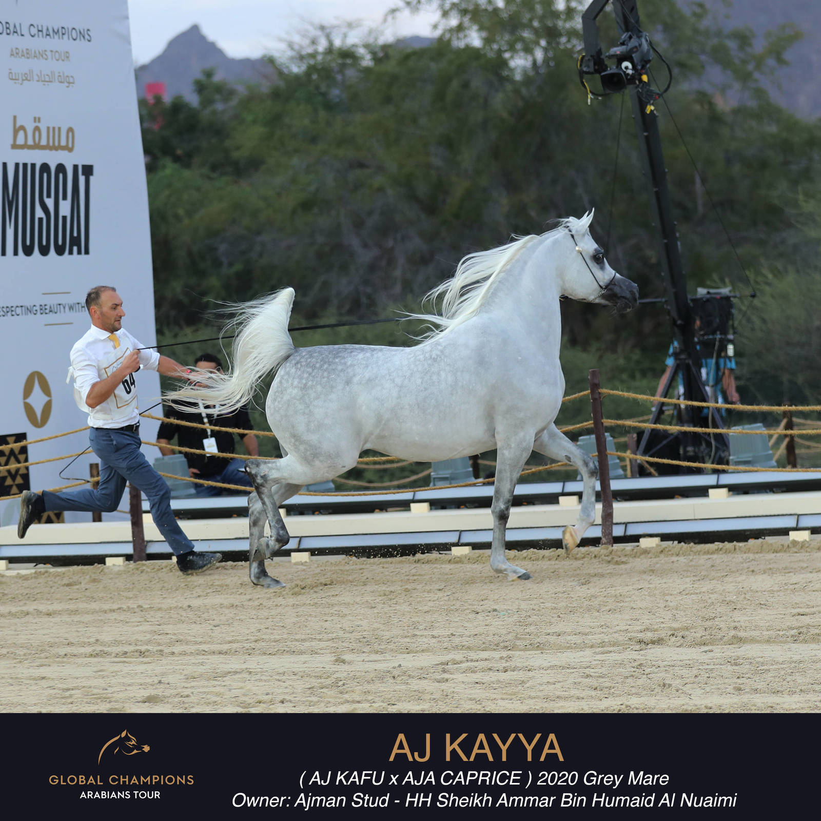 DAY TWO OF THE MUSCAT STAGE OF THE GLOBAL CHAMPIONS ARABIANS TOUR
