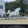 DAY TWO OF THE MUSCAT STAGE OF THE GLOBAL CHAMPIONS ARABIANS TOUR