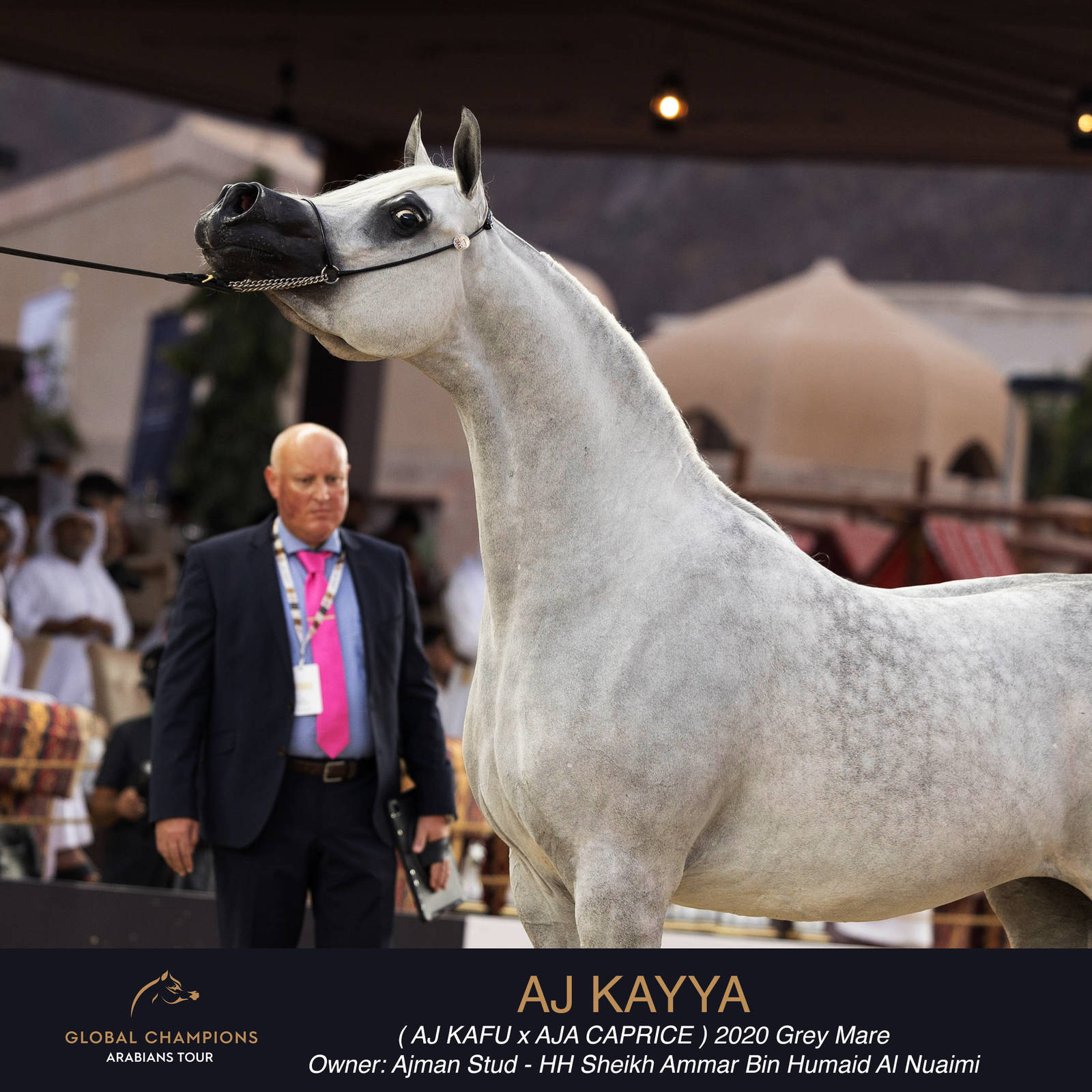 DAY TWO OF THE MUSCAT STAGE OF THE GLOBAL CHAMPIONS ARABIANS TOUR