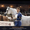 DAY TWO OF THE MUSCAT STAGE OF THE GLOBAL CHAMPIONS ARABIANS TOUR
