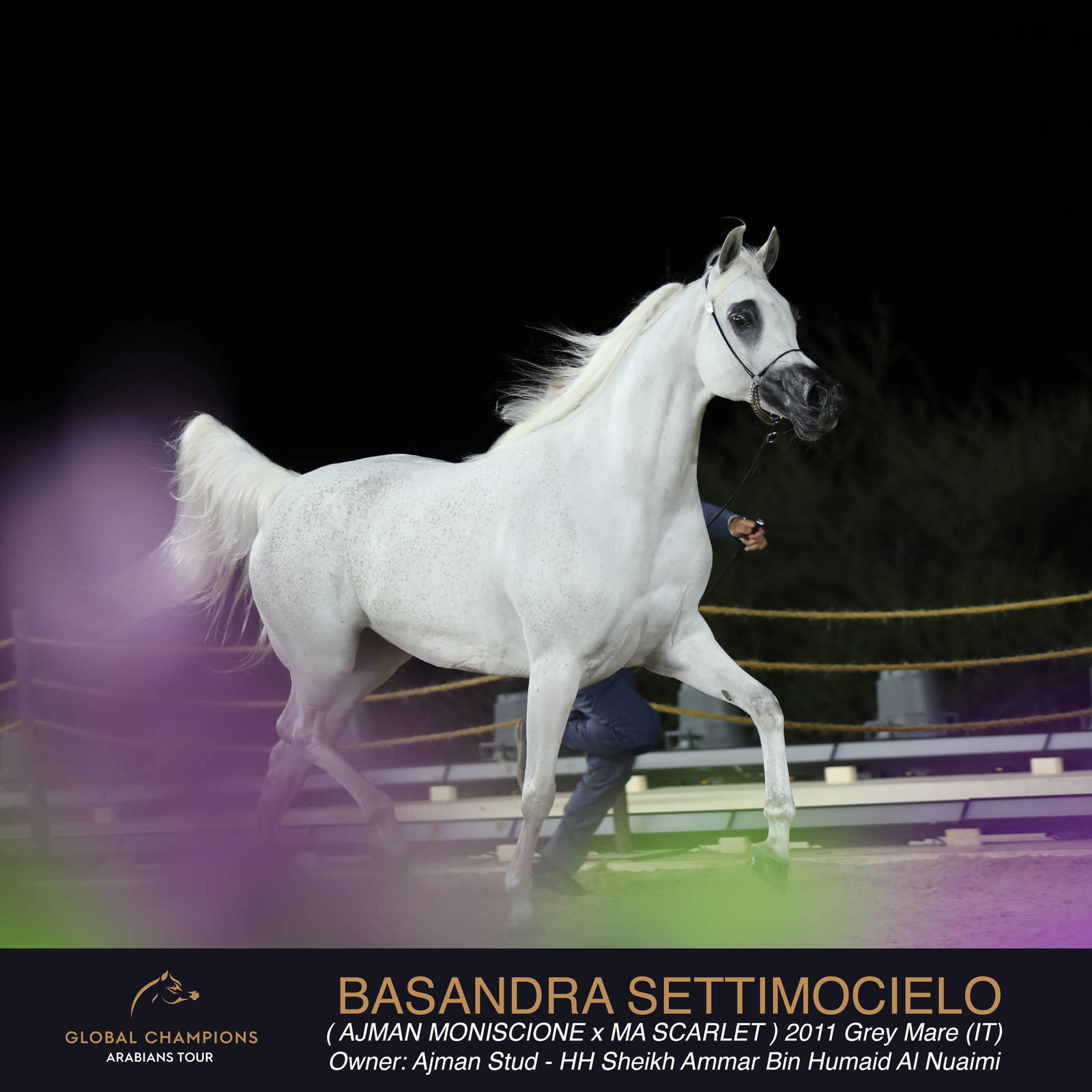 DAY TWO OF THE MUSCAT STAGE OF THE GLOBAL CHAMPIONS ARABIANS TOUR