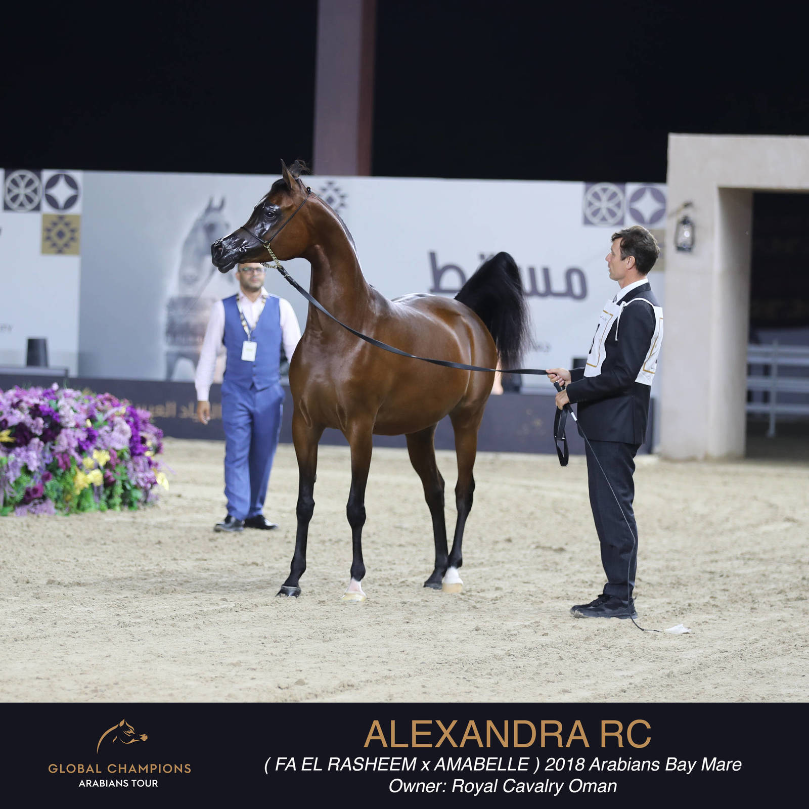 DAY TWO OF THE MUSCAT STAGE OF THE GLOBAL CHAMPIONS ARABIANS TOUR
