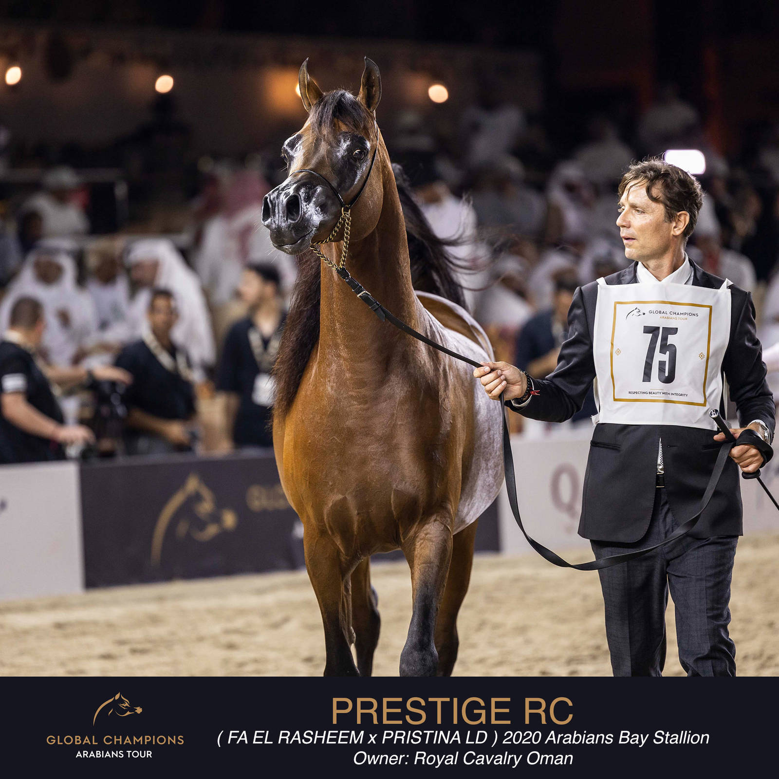 DAY TWO OF THE MUSCAT STAGE OF THE GLOBAL CHAMPIONS ARABIANS TOUR