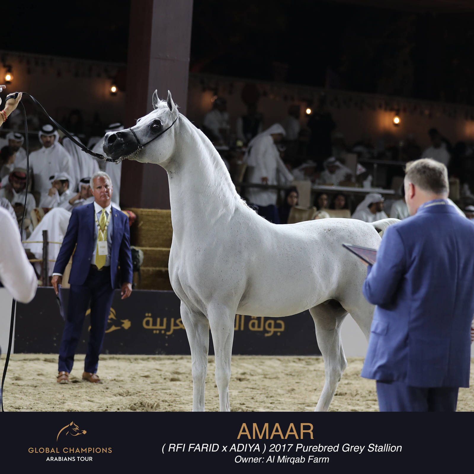 DAY TWO OF THE MUSCAT STAGE OF THE GLOBAL CHAMPIONS ARABIANS TOUR