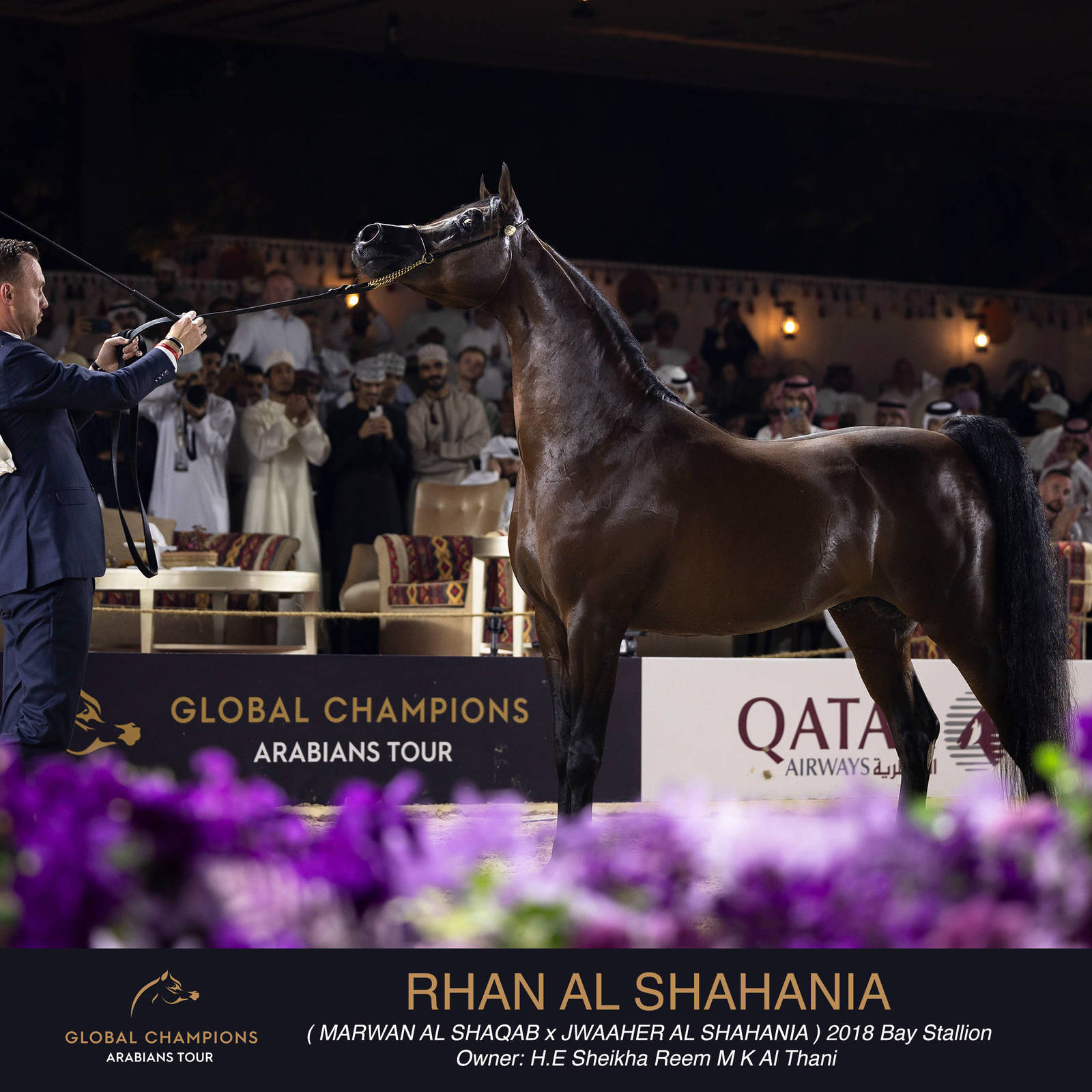 DAY TWO OF THE MUSCAT STAGE OF THE GLOBAL CHAMPIONS ARABIANS TOUR
