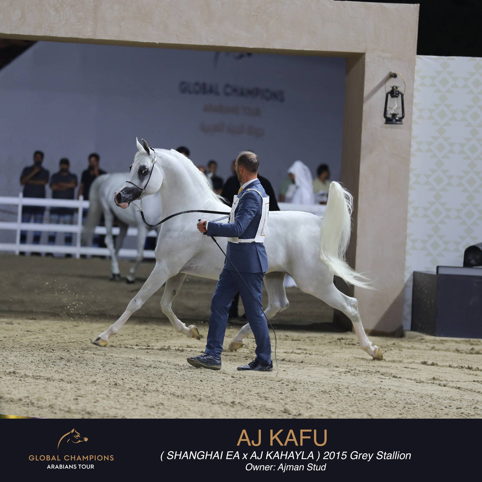 DAY TWO OF THE MUSCAT STAGE OF THE GLOBAL CHAMPIONS ARABIANS TOUR