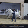 DAY TWO OF THE MUSCAT STAGE OF THE GLOBAL CHAMPIONS ARABIANS TOUR