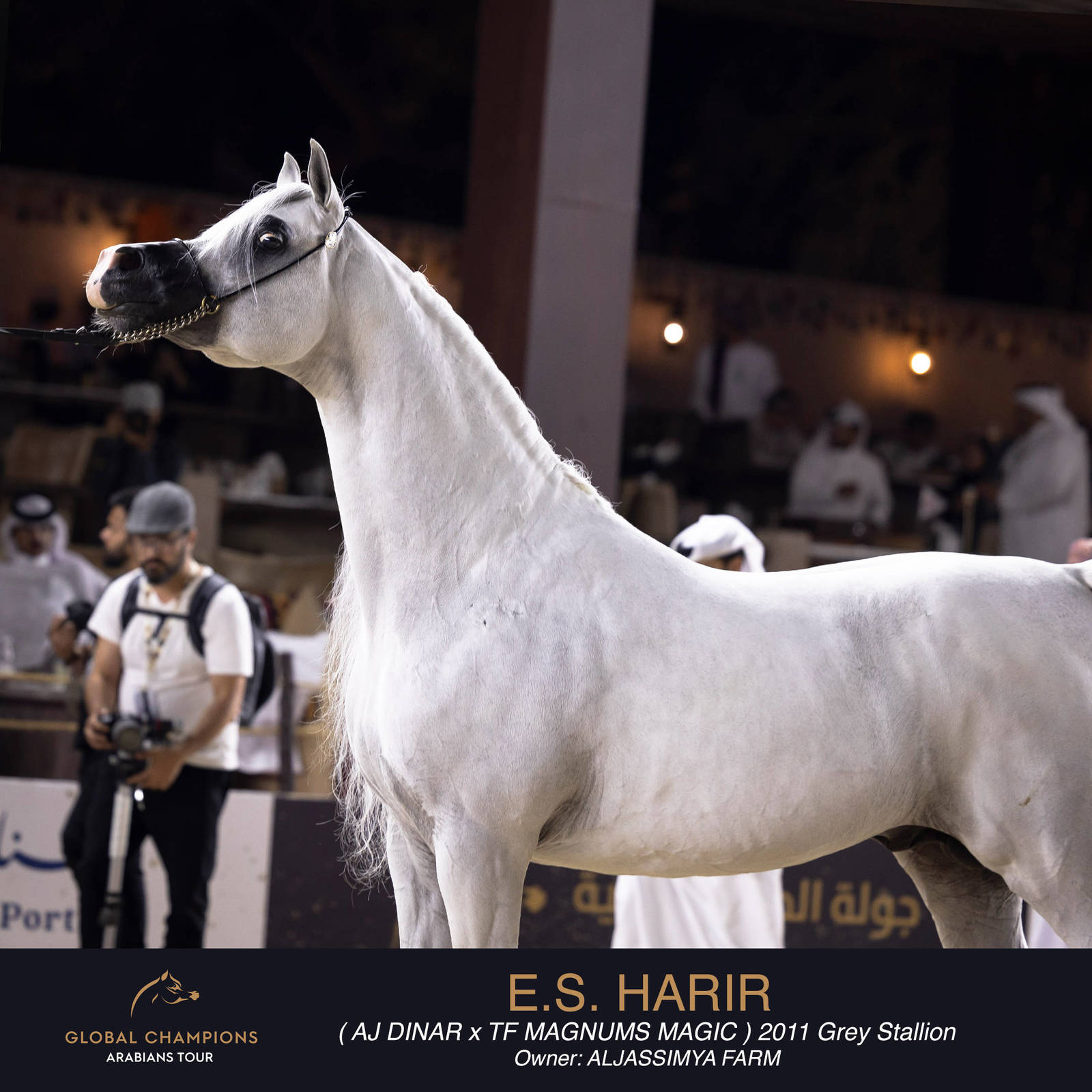 DAY TWO OF THE MUSCAT STAGE OF THE GLOBAL CHAMPIONS ARABIANS TOUR