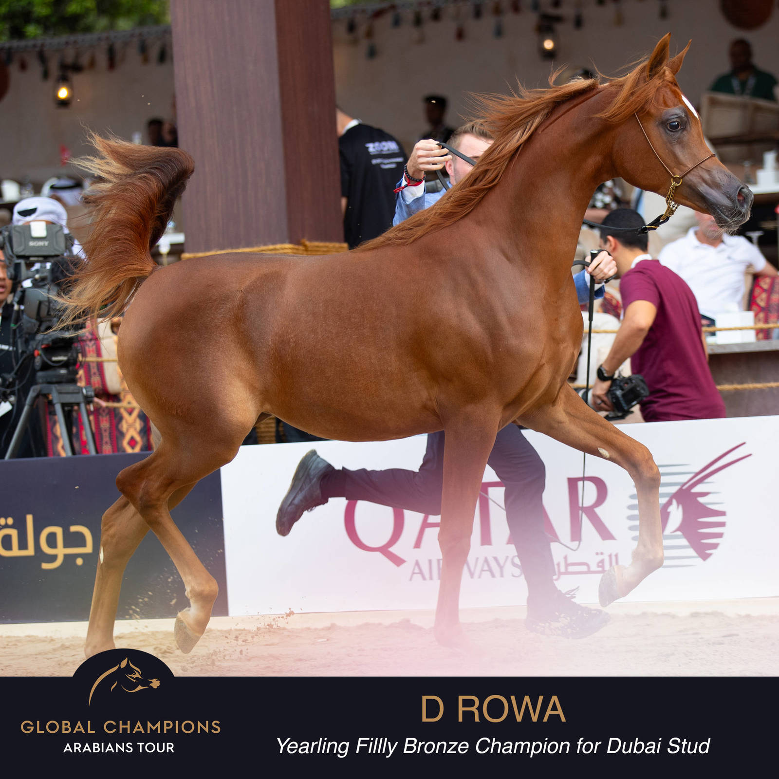 Championship Day Global Champions Arabians Tour, Muscat
