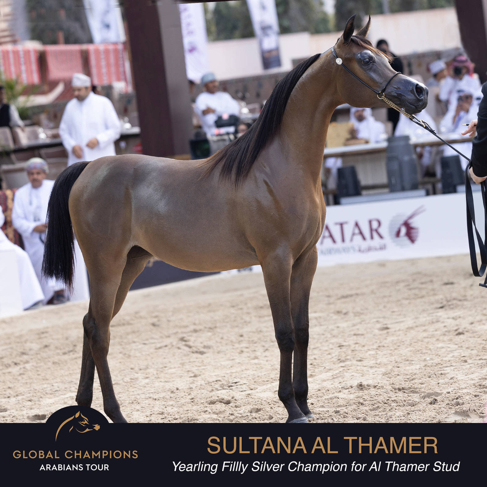 Championship Day Global Champions Arabians Tour, Muscat