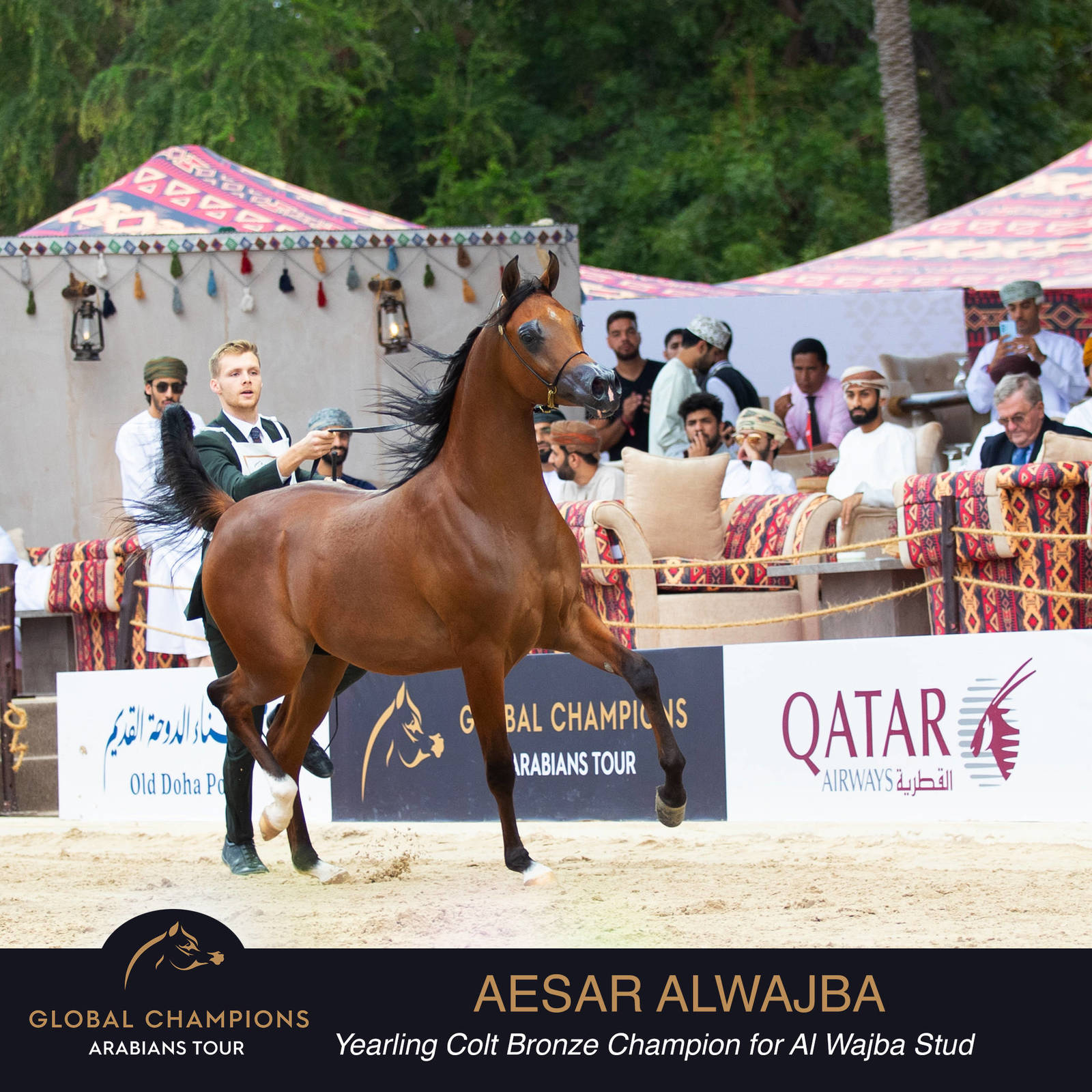 Championship Day Global Champions Arabians Tour, Muscat