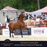 Championship Day Global Champions Arabians Tour, Muscat