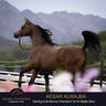 Championship Day Global Champions Arabians Tour, Muscat
