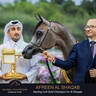 Championship Day Global Champions Arabians Tour, Muscat