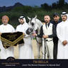 Championship Day Global Champions Arabians Tour, Muscat
