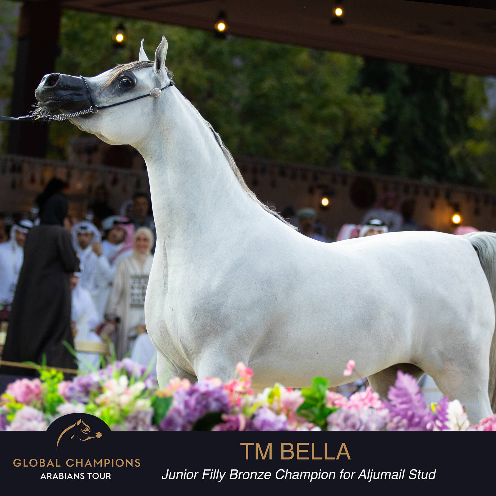 Championship Day Global Champions Arabians Tour, Muscat