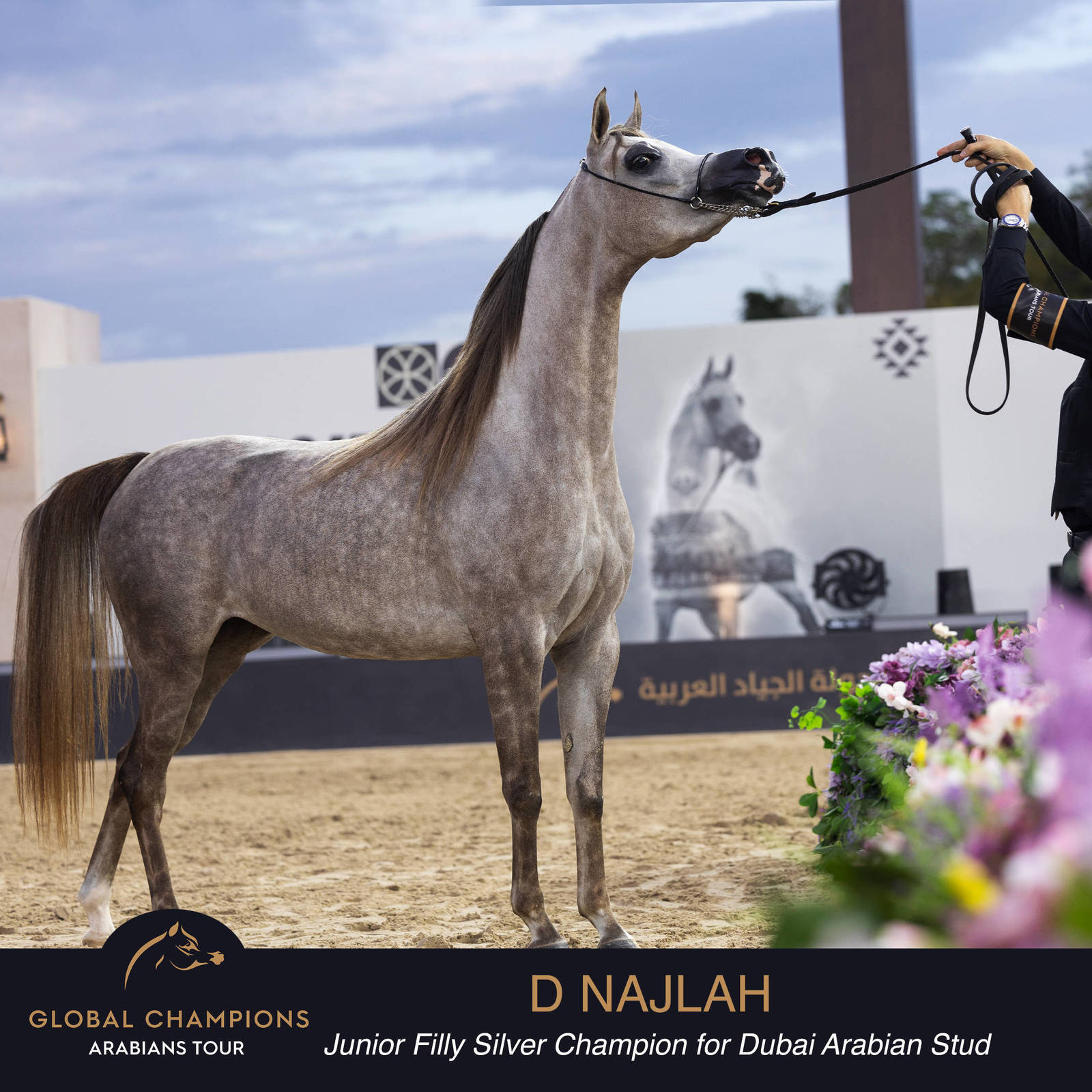 Championship Day Global Champions Arabians Tour, Muscat