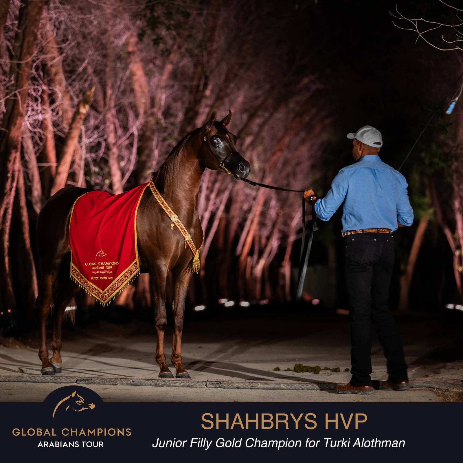 Championship Day Global Champions Arabians Tour, Muscat