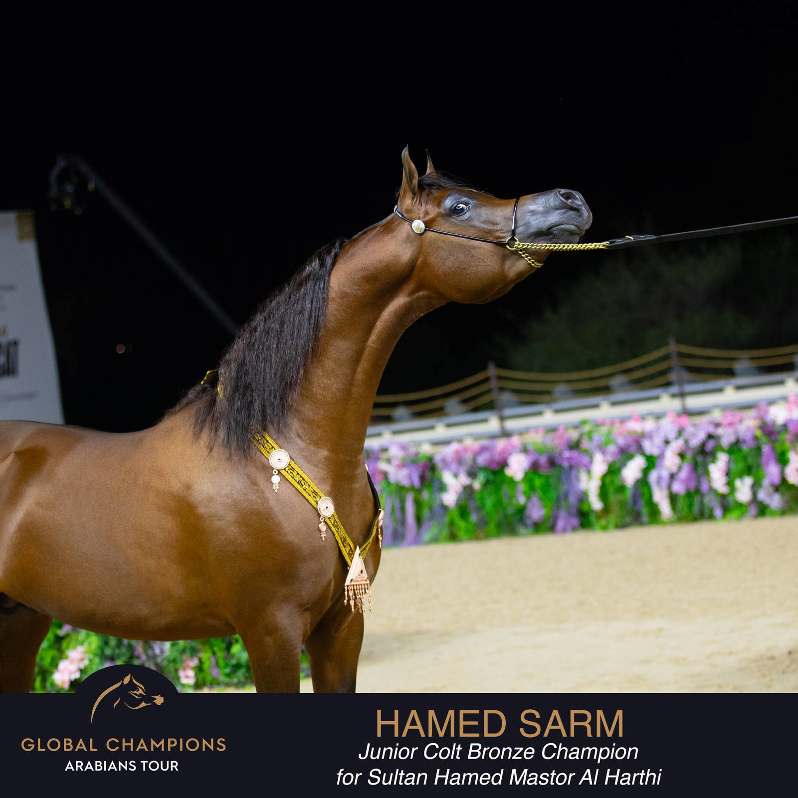 Championship Day Global Champions Arabians Tour, Muscat