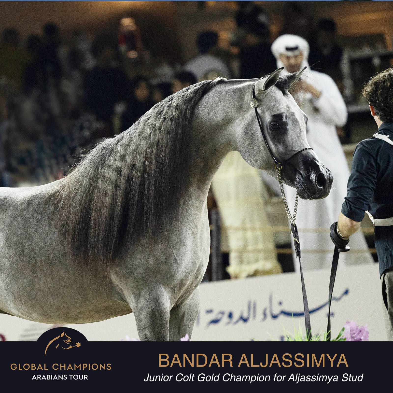 Championship Day Global Champions Arabians Tour, Muscat