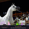 Championship Day Global Champions Arabians Tour, Muscat