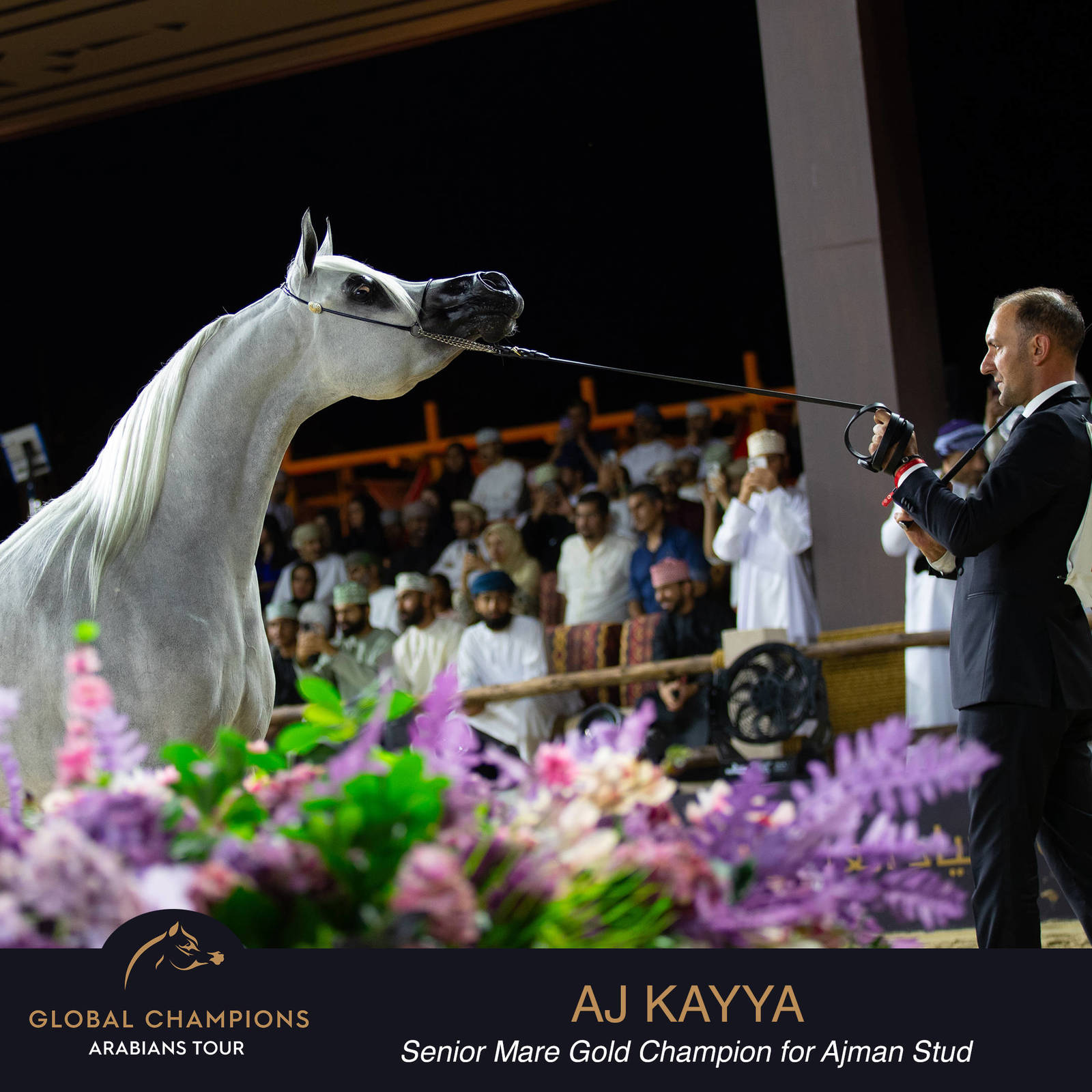 Championship Day Global Champions Arabians Tour, Muscat