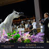Championship Day Global Champions Arabians Tour, Muscat