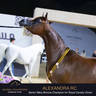 Championship Day Global Champions Arabians Tour, Muscat
