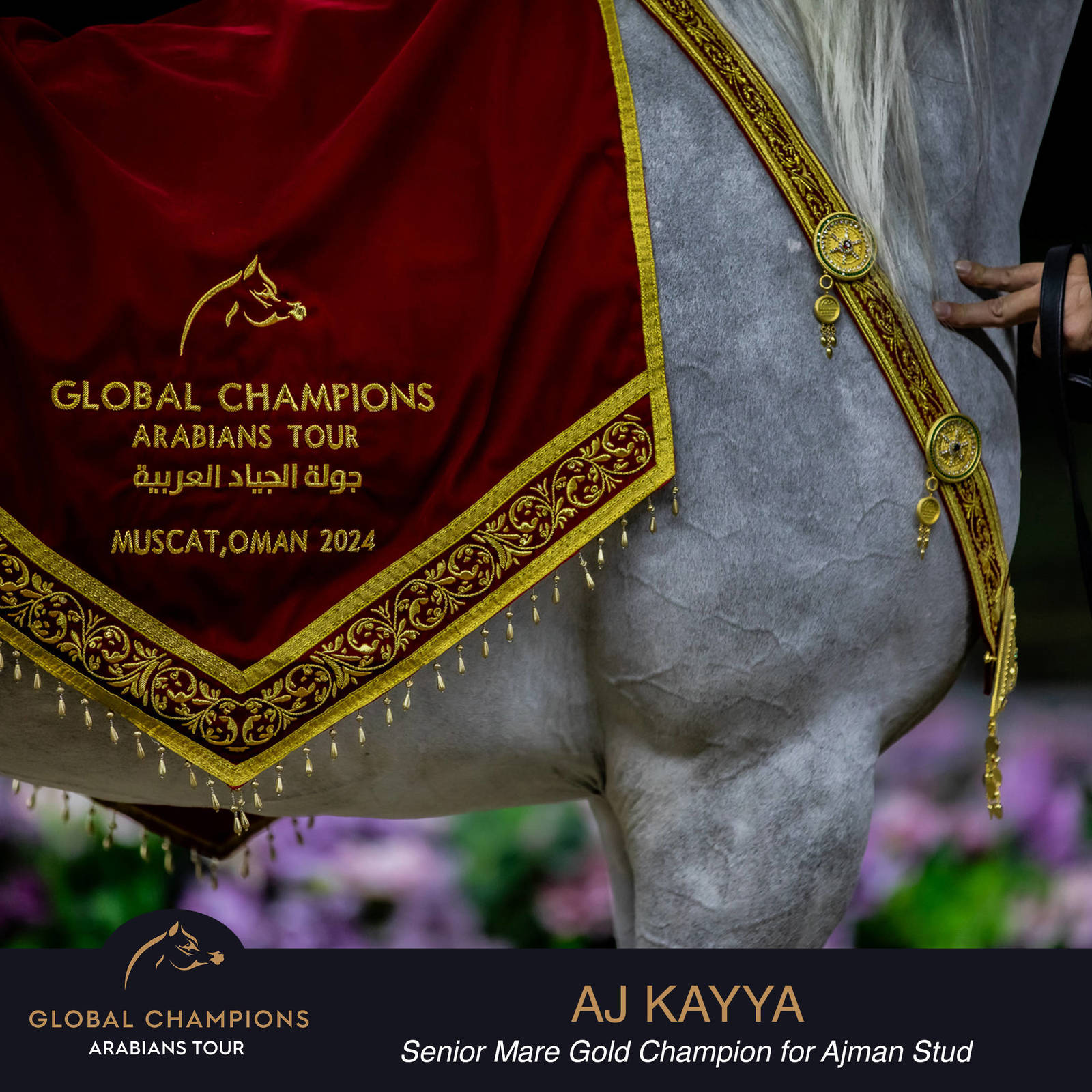 Championship Day Global Champions Arabians Tour, Muscat