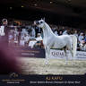 Championship Day Global Champions Arabians Tour, Muscat
