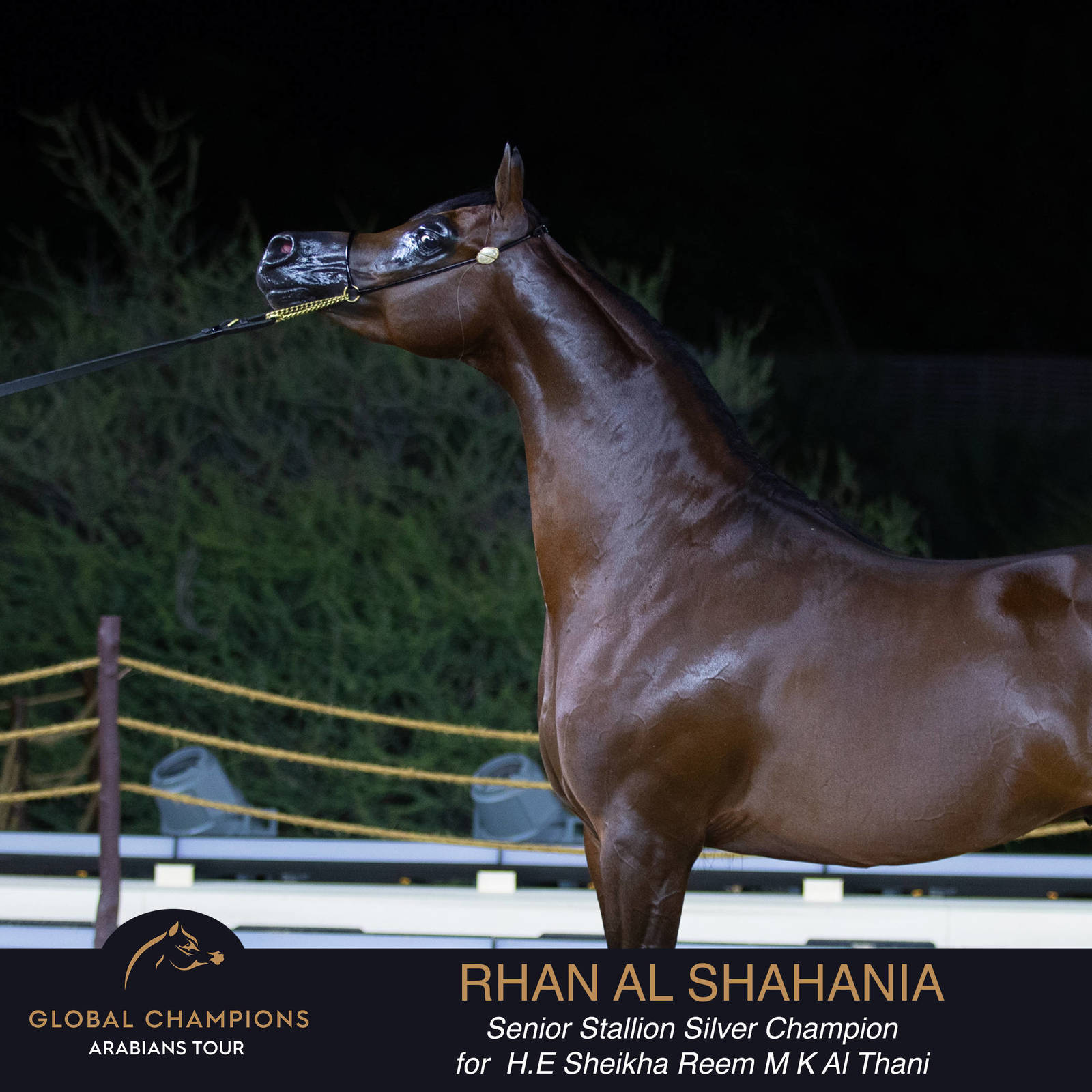 Championship Day Global Champions Arabians Tour, Muscat