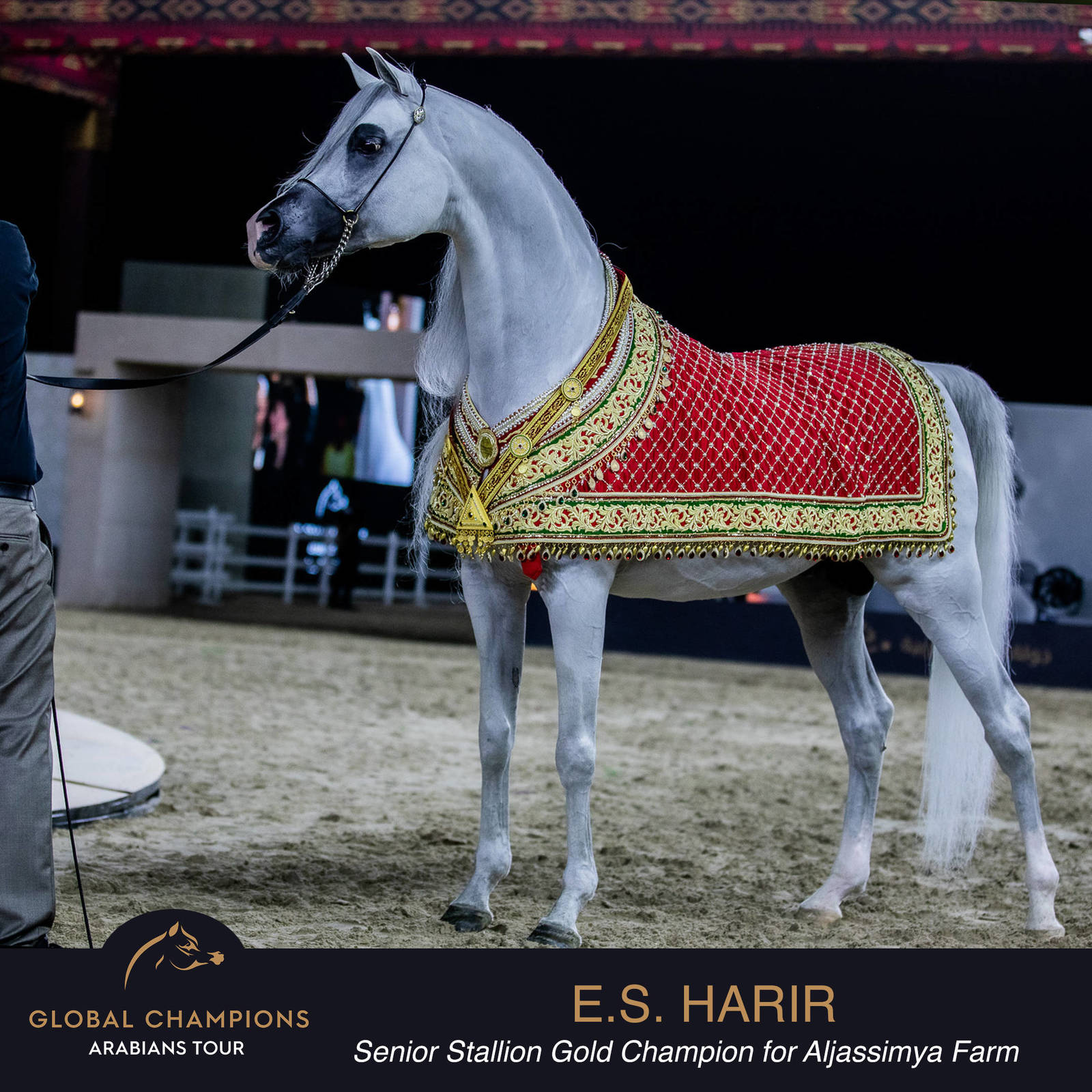 Championship Day Global Champions Arabians Tour, Muscat