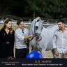 Championship Day Global Champions Arabians Tour, Muscat
