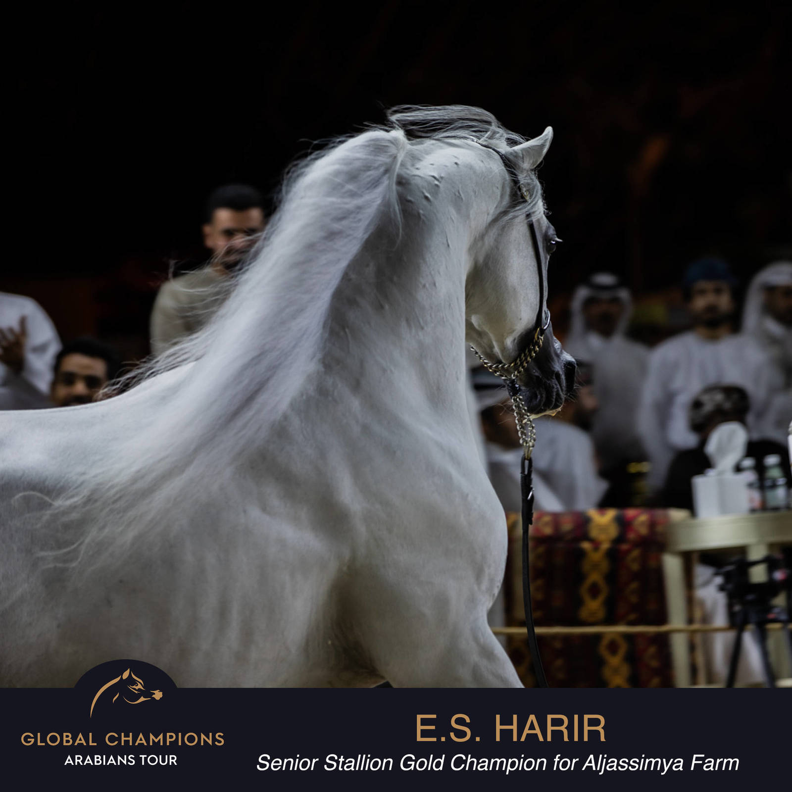 Championship Day Global Champions Arabians Tour, Muscat