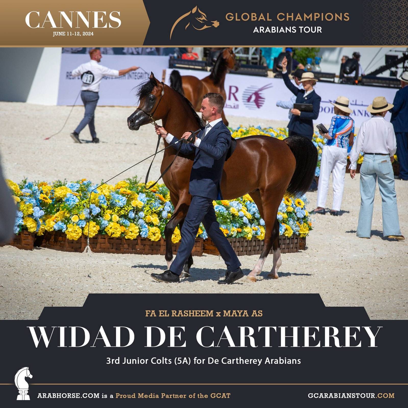 Photos: 2024 Qualifying Classes | Global Champions Arabians Tour Cannes