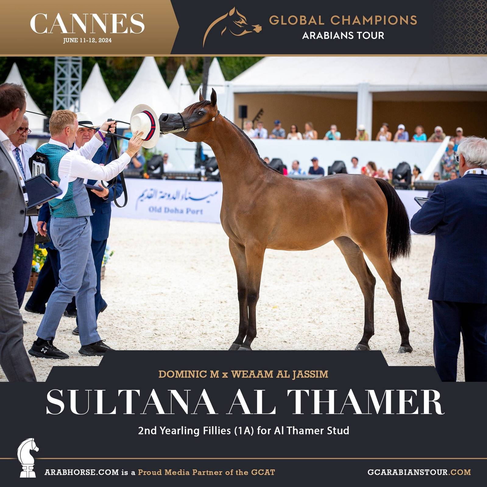 Photos: 2024 Qualifying Classes | Global Champions Arabians Tour Cannes