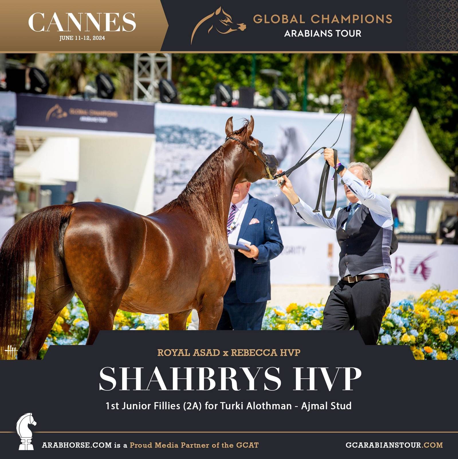 Photos: 2024 Qualifying Classes | Global Champions Arabians Tour Cannes