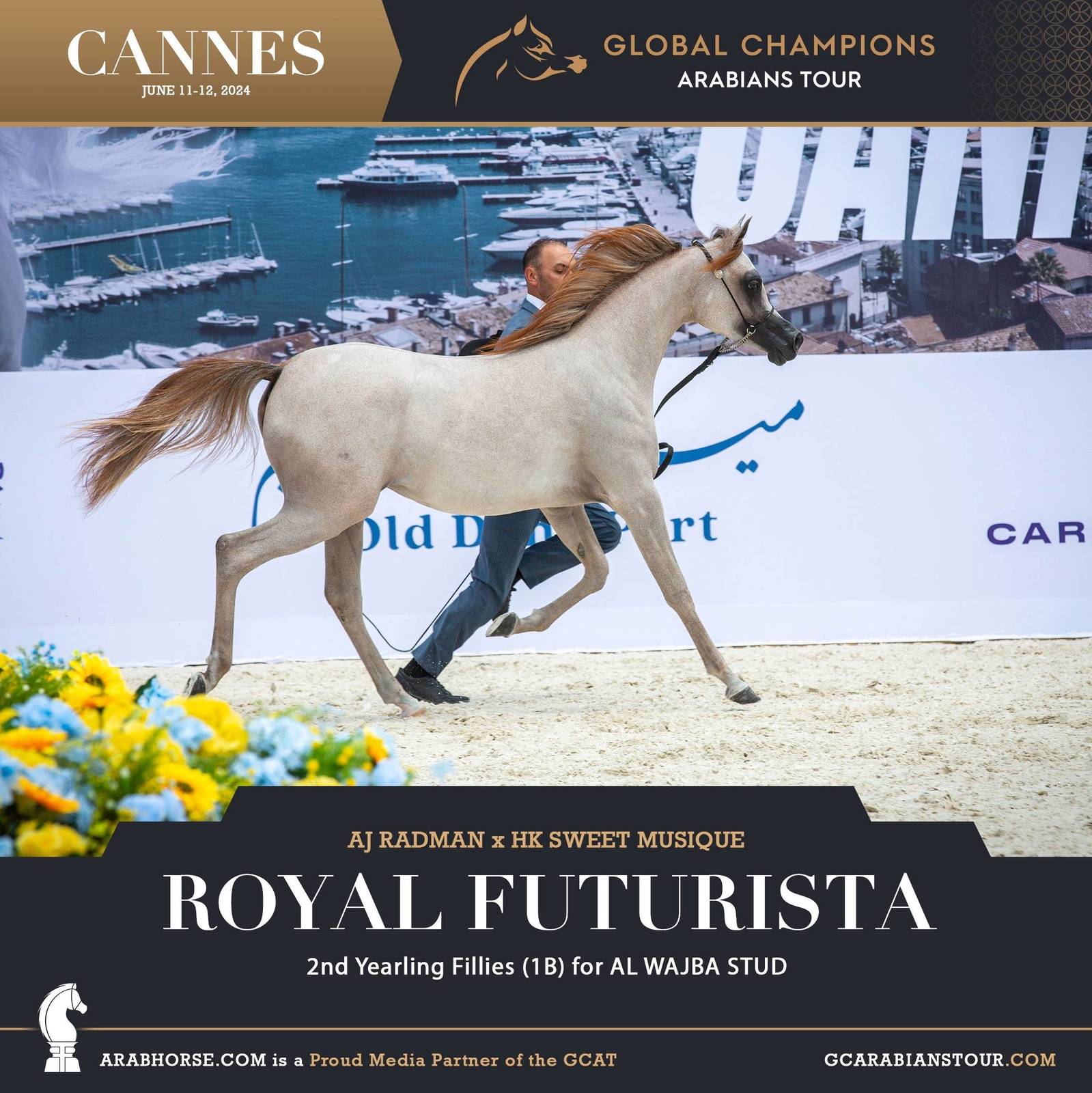 Photos: 2024 Qualifying Classes | Global Champions Arabians Tour Cannes